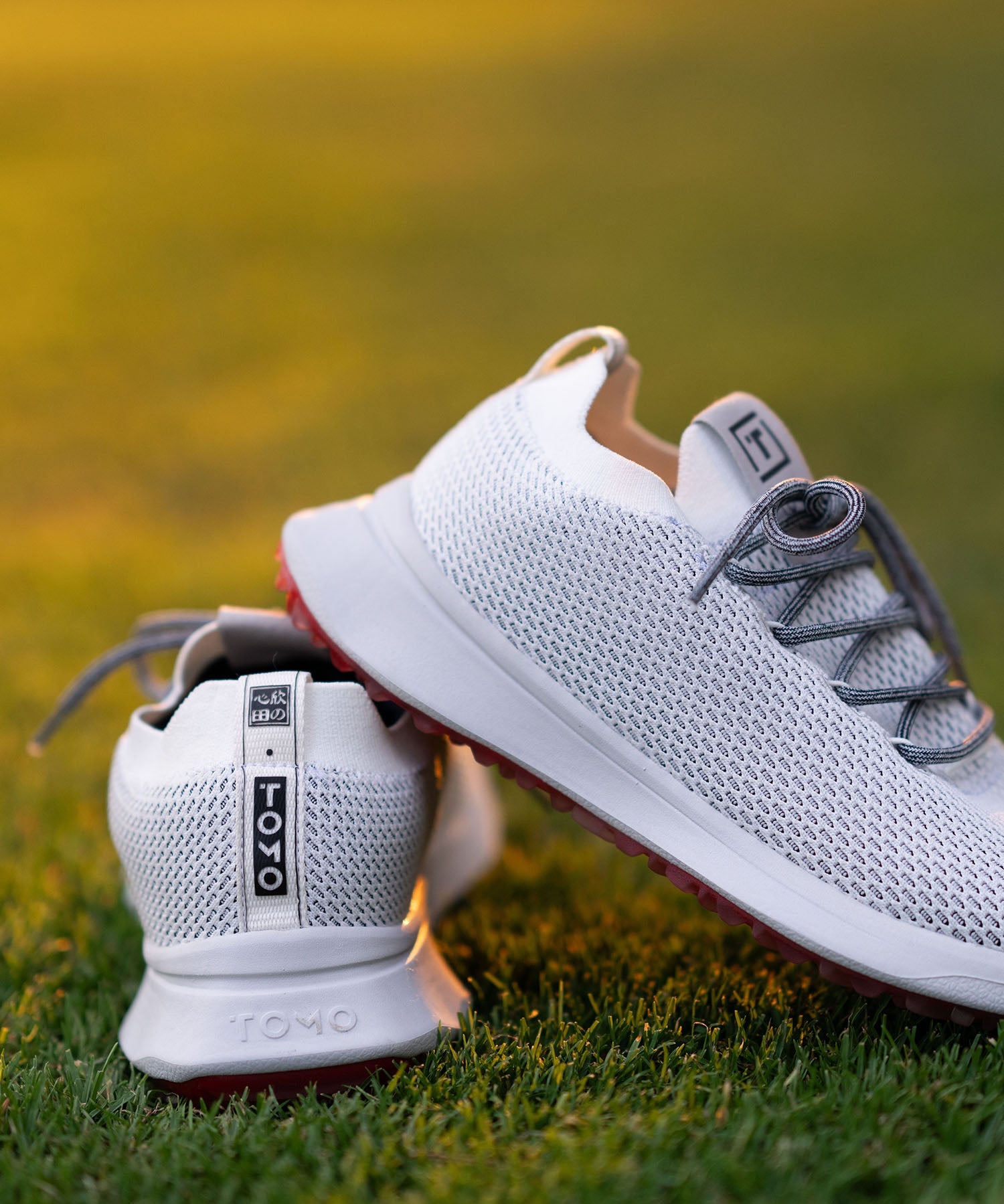 Alpha Golf Shoes - Oxygen White - Tomo Golf - The Mulligan Merchant